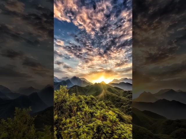 Nature  ️
