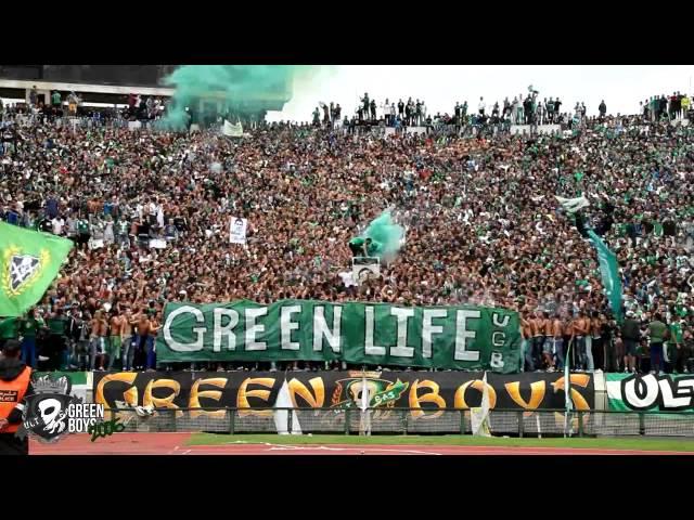 Curva Sud Casablanca : Green Life