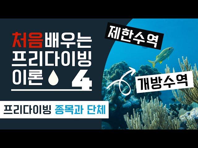 [처음배우는프리다이빙] 이론4 | 프리다이빙 종목, 자격증과 단체