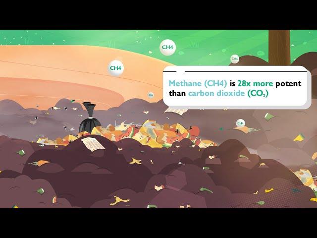 Waste Wise - Explainer Video by Creative Triplet