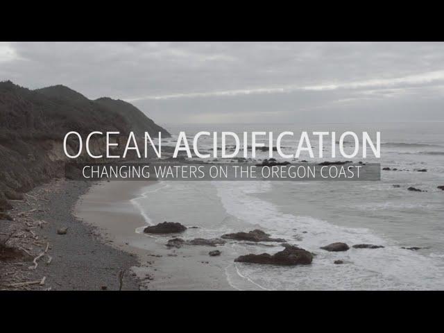 Ocean Acidification - Changing Waters On The Oregon Coast