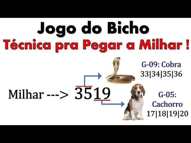 Jogo do Bicho - Técnica pra Pegar a Milhar !