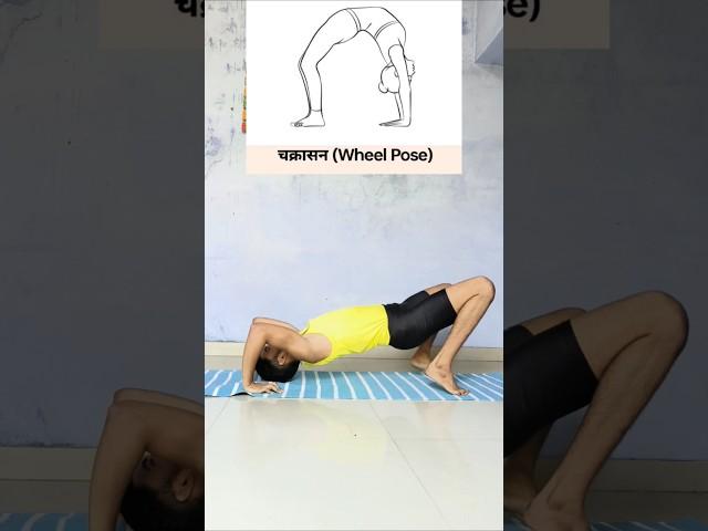 How to do Chakrasana #wheelpose #chakrasana #yogaposes #yoga #backbend #yogalife #ytshorts #shorts