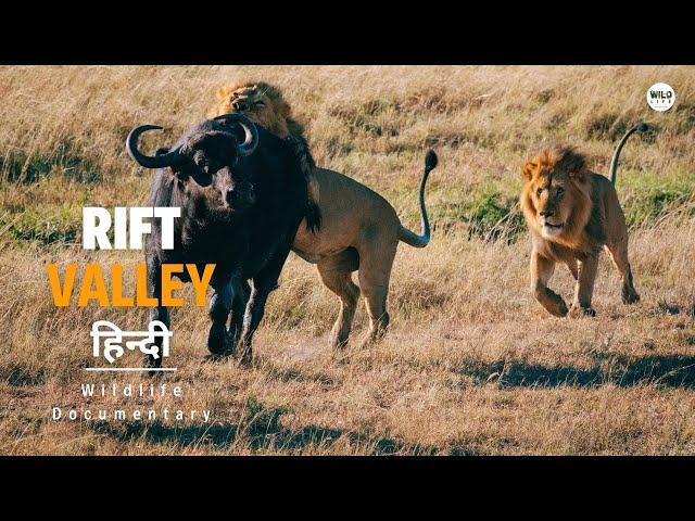 Rift Valley, Savannah [2024] हिन्दी डॉक्यूमेंट्री | Wildlife documentary in Hindi