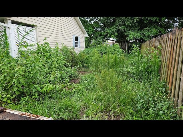 She has Cancer and they STOLE her Lawn Mower | Mowing Overgrown Lawn