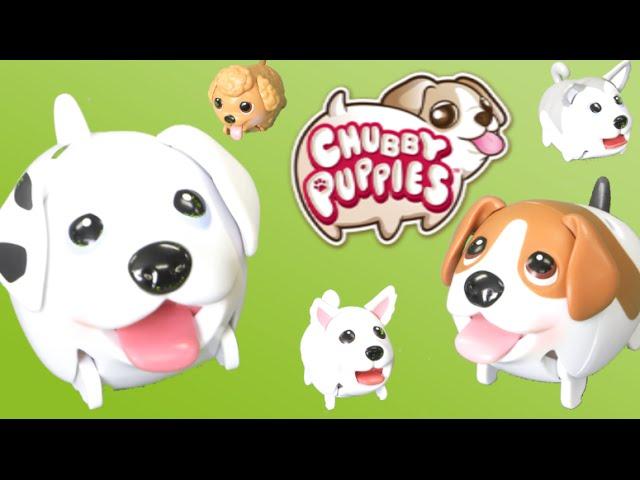 Chubby Puppies | The Play Lab