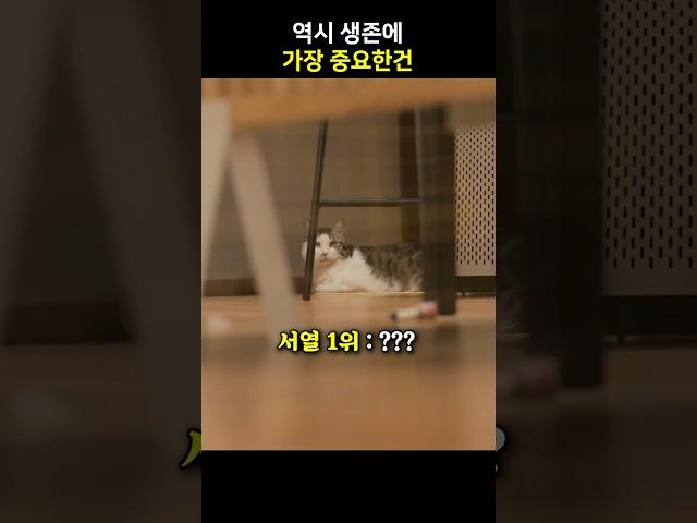 역시 생존에 가장 중요한건