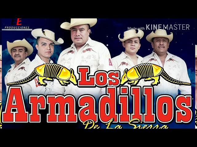 Los armadillos de la sierra mix