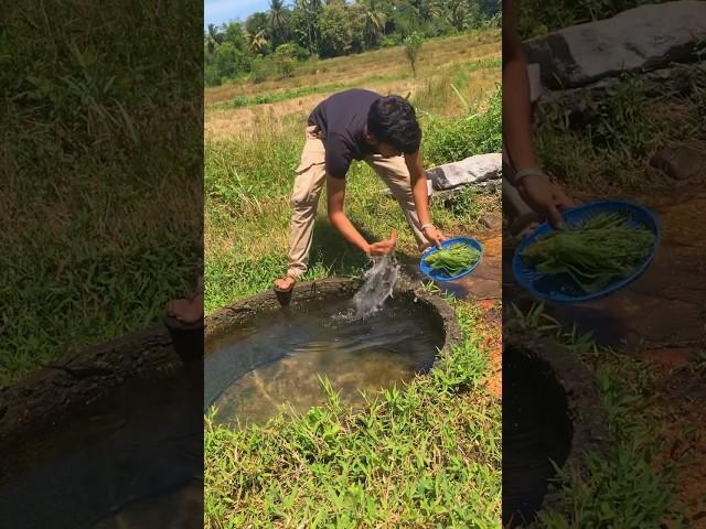 Village Breakfast උදේ කෑම  #villageboy #villagechef #cooking