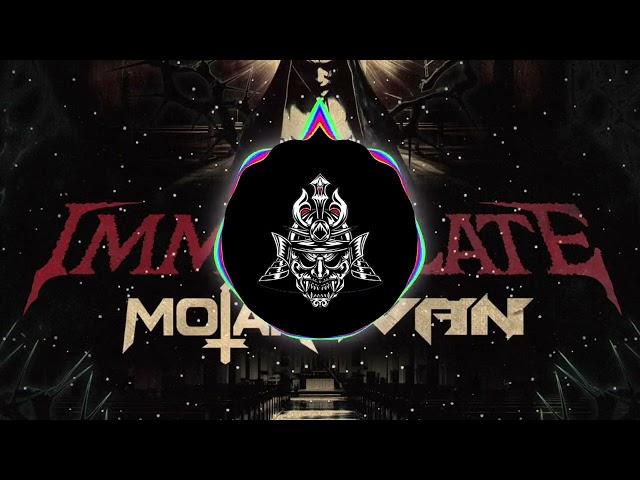 MOTAR & IVAN - IMMACULATE