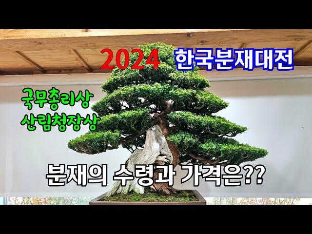 2024 한국분재대전, 분재의 수령과 가격은??