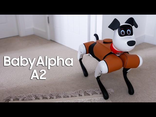 This Pet Dog Is So Lifelike! BabyAlpha Review!