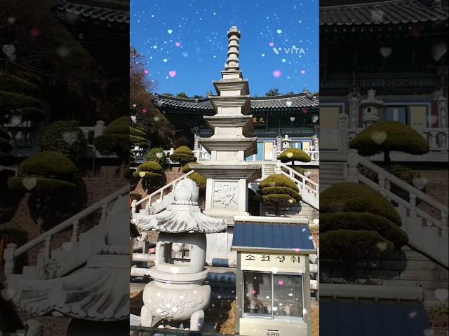 아담하고작은사찰 #금용사 #인도의향불 #정의송 #희망찬25년성불하세요