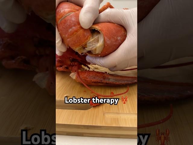 Lobster cracking therapy #spinylobster #lobster #lobstertail