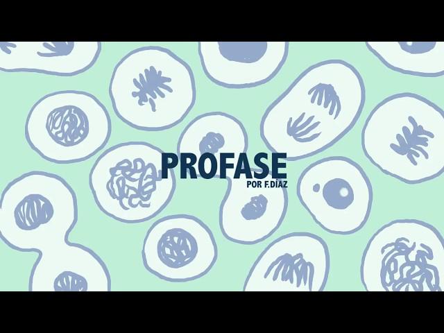 profase