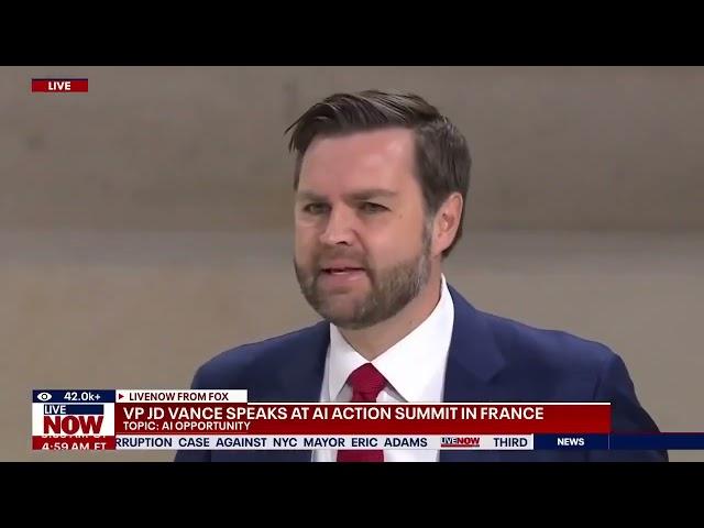 JD Vance at AI Action Summit in France