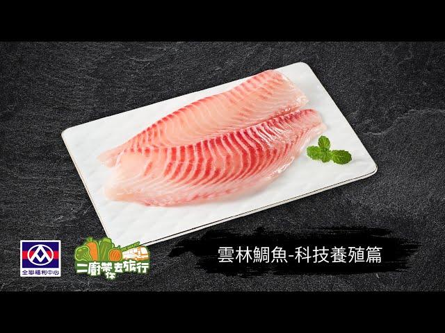 【全聯福利中心】二廚帶你去旅行－台灣鯛篇-科技養殖篇