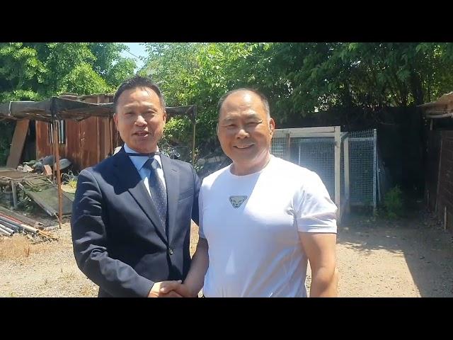 명견을 찾아서3탄 논산#jindodog #반려견 #진돗개 #황구#백구 #국견