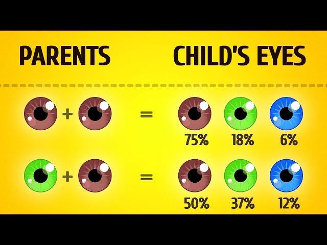 Here's What Your Baby Will Look Like