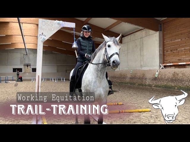 Working Equitation Trail-Training
