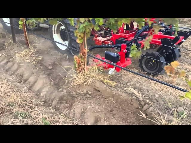 Inter row weeder cultivator for vineyards | ID David