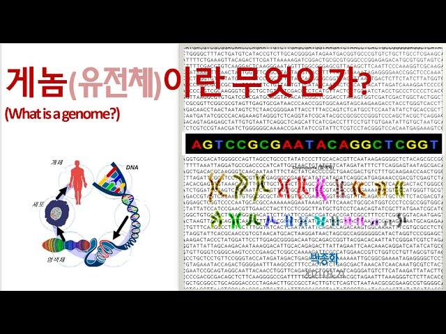 게놈(유전체)란 무엇인가?  (What is a genome?)