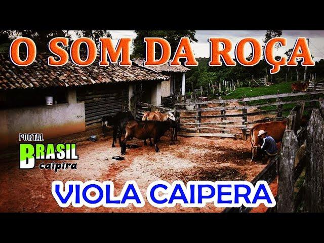 MODÃO DAS ANTIGAS 2024 - MODÃO DE BUTECO AS MELHORES | MODÃO SERTANEJO ANTIGO RAIZ | MODA DE VIOLA