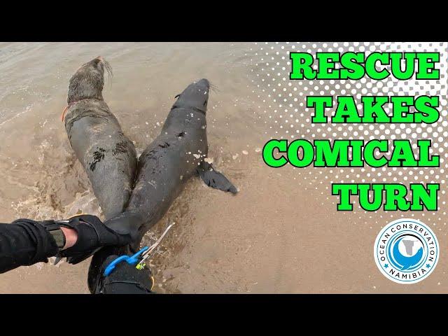 Rescue Takes Comical Turn