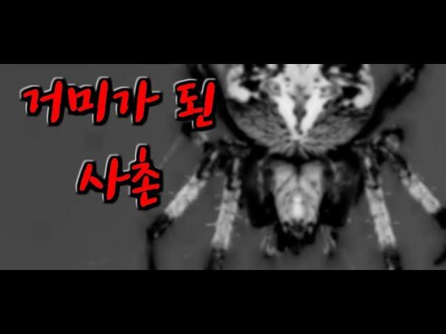 (소름주의) 거미가 된 사촌 [무서운 이야기] - 숫노루TV