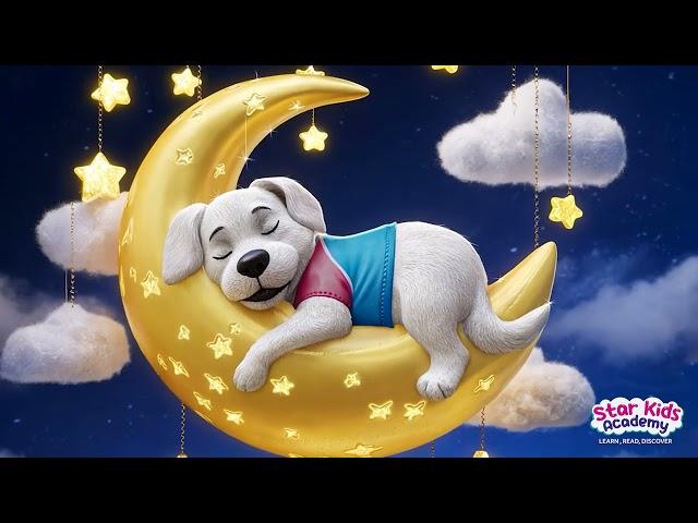 Slaap Kindje Slaap⭐Sleep song in dutch⭐3 minuten slaapmuziek ️Kinderliedjes