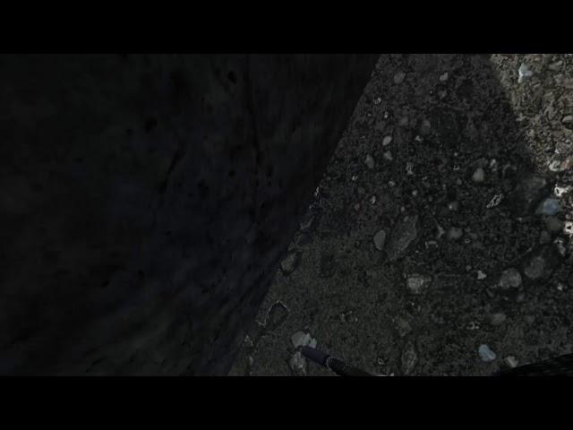 Immersive DayZ Gameplay (No HUD, First Person, No Commentary)