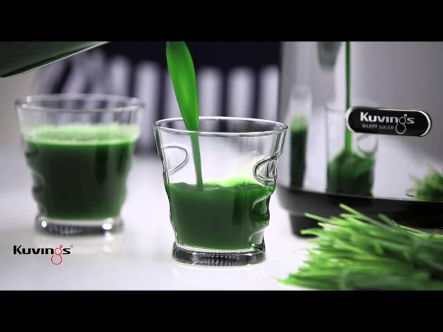 Kuvings SC Juicer