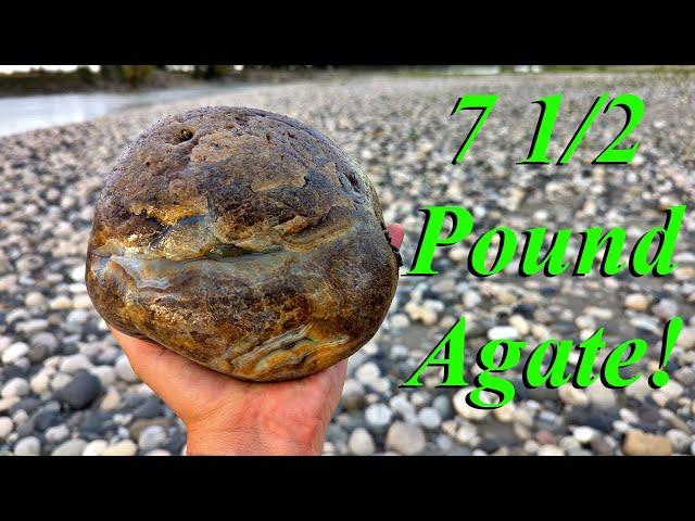 We Found a 7.5 Pound Tyndall Blue Agate! Rockhounding the River for Gorgeous Agates, Jasper, & More!