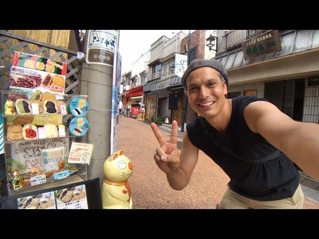 Tokyo’s Yanaka Ginza “Old Town” Street View