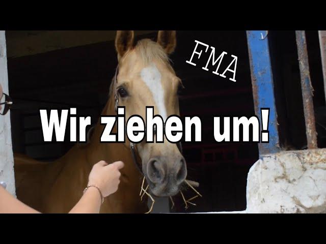 Die Pferde ziehen auf unseren Hof! FMA