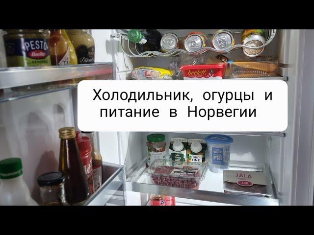 Что в холодильнике у норвежцев? Питание в большой семье.