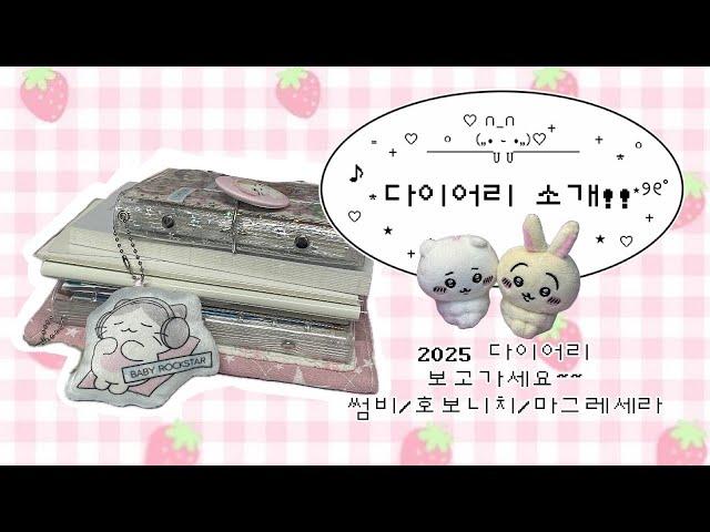 °⋆모두 2025 다이어리 정하셨나요? ㅣ 2025 다이어리 소개‼️ㅣ호보니치 윅스•마그레세라•썸띵비러브드•핑루 ㅣ 영상을 다 보면 마지막에 귀여운 것을 마주칠지도⁉️