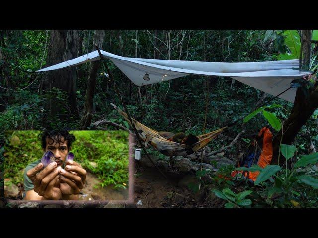 Solo Camping in Rain Forest, Sleeping in a Hammock Scary Night in The Wilderness គេងរកត្បូង Epsod 98