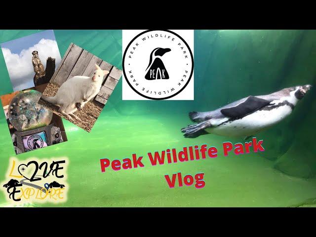 Peak Wildlife Park - Leek, Staffordshire