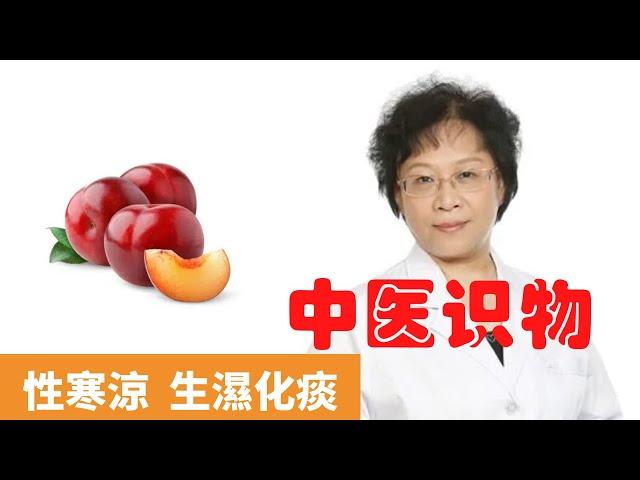 李子吃多了會怎樣【保健養生】生生不息