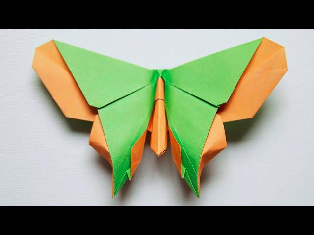  Origami Butterfly  The Nolan (Michael G. LaFosse)