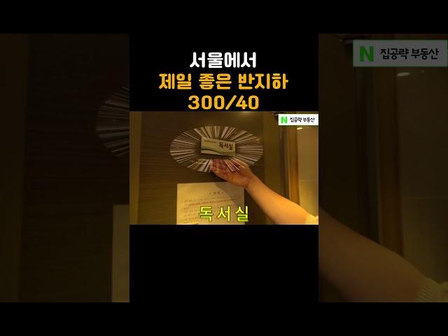 서울에서 제일 좋은 반지하