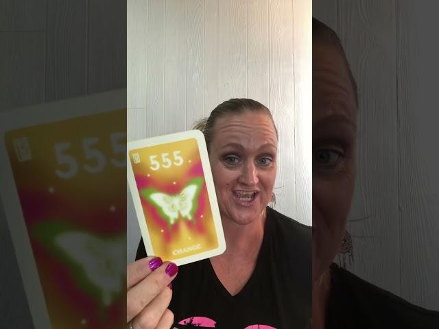 ALL SIGNS: The Person On Your Mind Timeless Divine Tarot Love (timestamps)