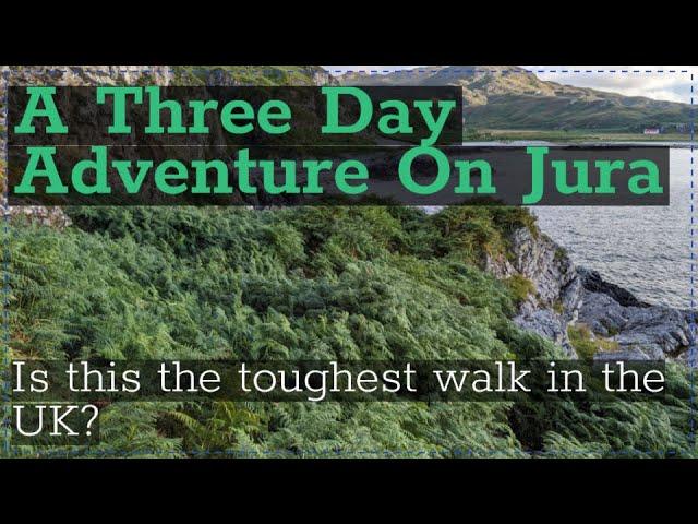 Seals, Stags & Six Foot Bracken- A Walk Around The Jura Coast