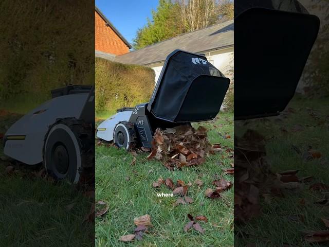 Meet my newest employee...  @mammotiontech  Tech #Mammotion #YUKA #lawnmower #robot