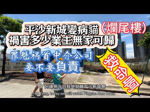 第290集 珠海平沙新城變成病貓/爛尾樓｜禍害多少業主無家可歸｜罪魁禍首中介公司，要不要負責｜#房地產 #爛尾樓#平沙新城#珠海樓盤