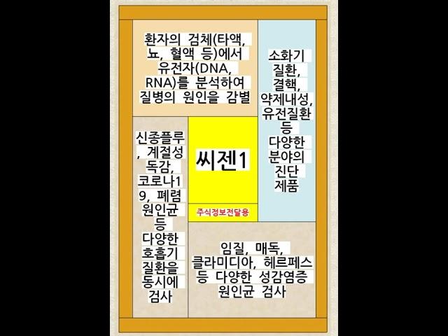 씨젠1
