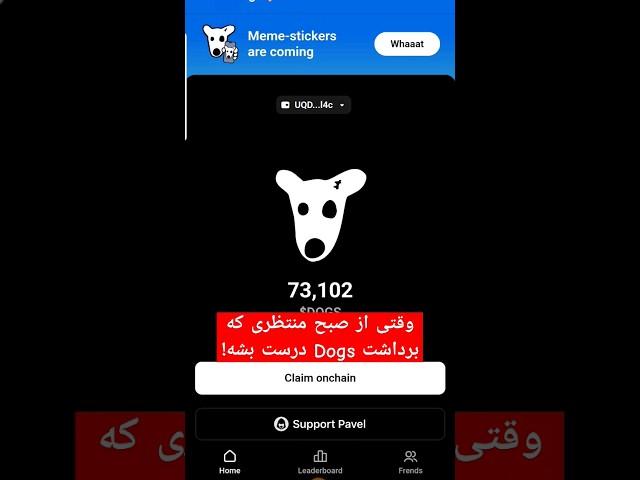 آخرین وضعیت کاربران ایردراپ داگز با توجه به اعلان کانال رسمی Dogs درارتباط با ازسرگیری برداشتها.