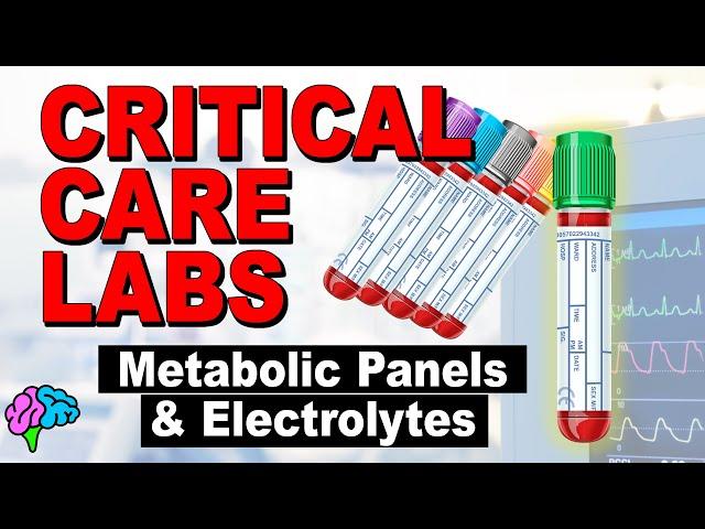 Metabolic Panels and Electrolytes - BMP vs CMP - Critical Care Labs