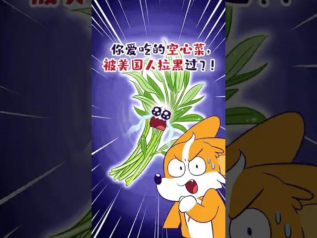 你爱吃的空心菜，曾经是美国人的噩梦？#shorts #空心菜 #我是小魔